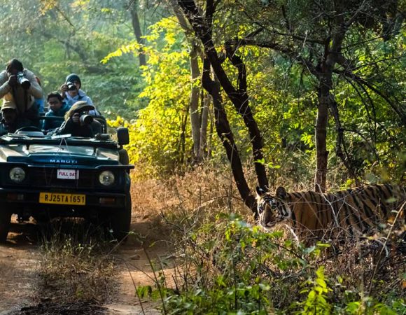 Golden Triangle Tour With Ranthambore Wildlife Safari 4N5D